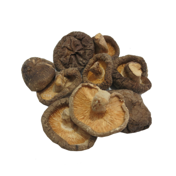 Mushroom - Dried Mushroom Liang Pin (Min. 500g)
