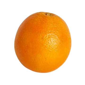 Fruit - Orange