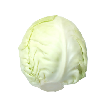 Veg - Cabbage Beijing (Min. 1kg)