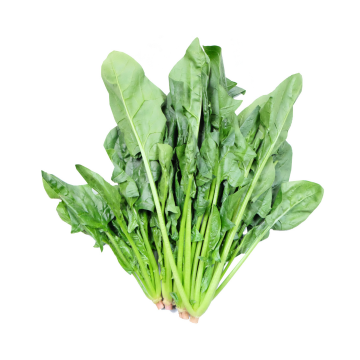Veg - Spinach Poh Chye China (Min. 500g)